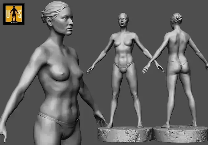 female anatomy study  3D print model