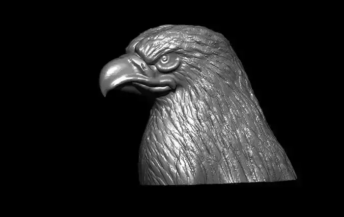 EAGLE head