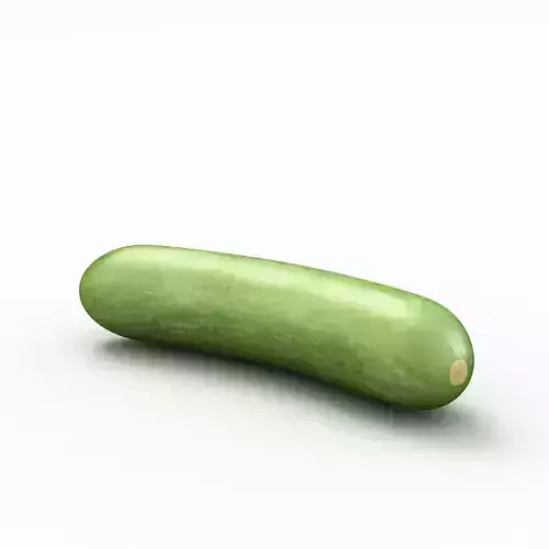 Cucumber 3D model