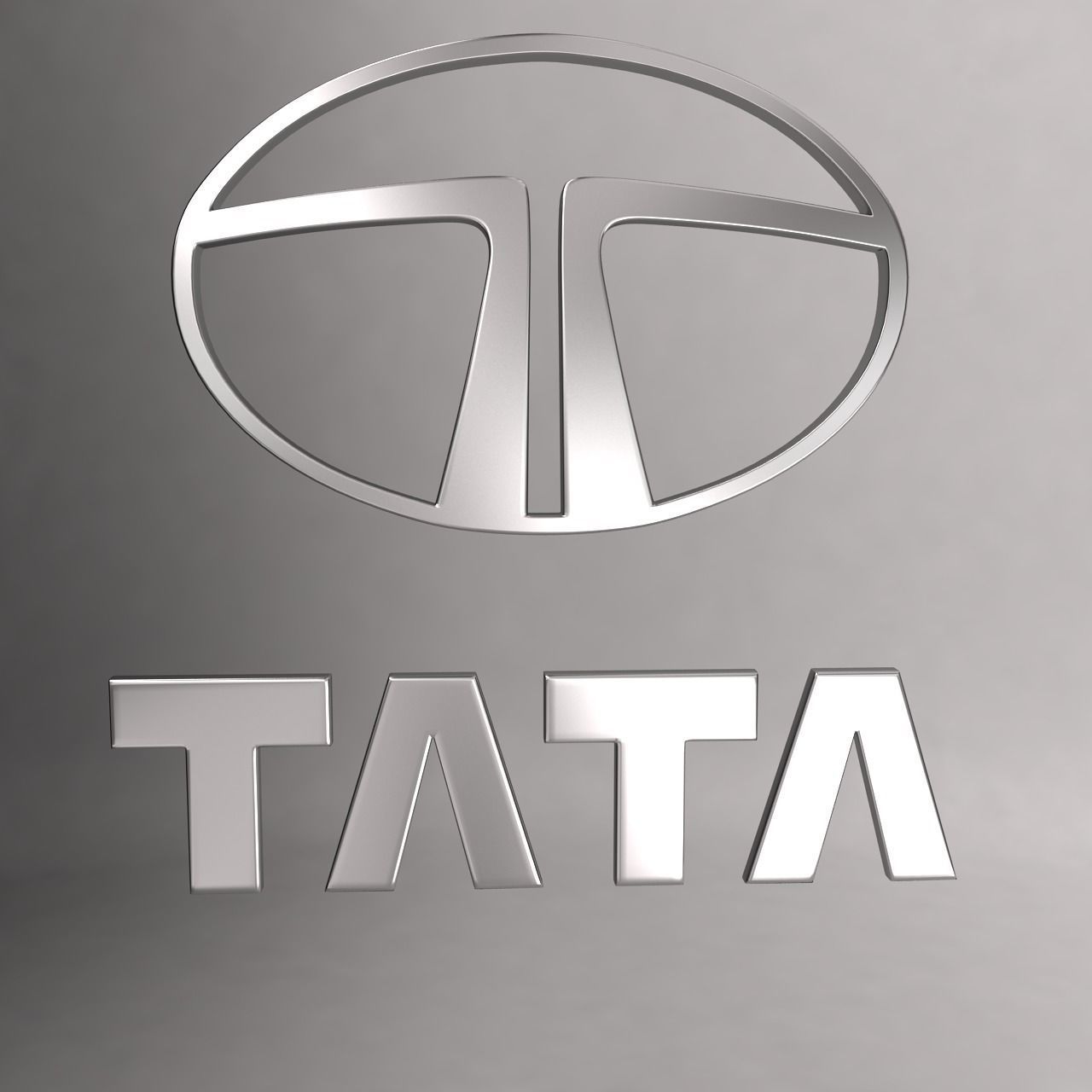 Tata car logo keychain 3d model  3D model_4
