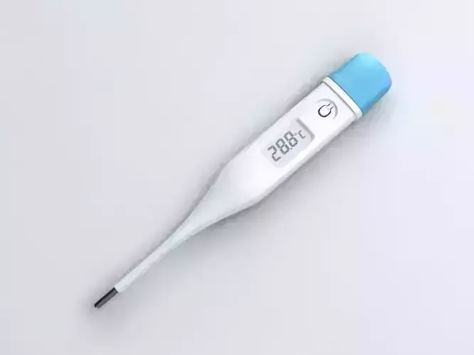 Digital Thermometer