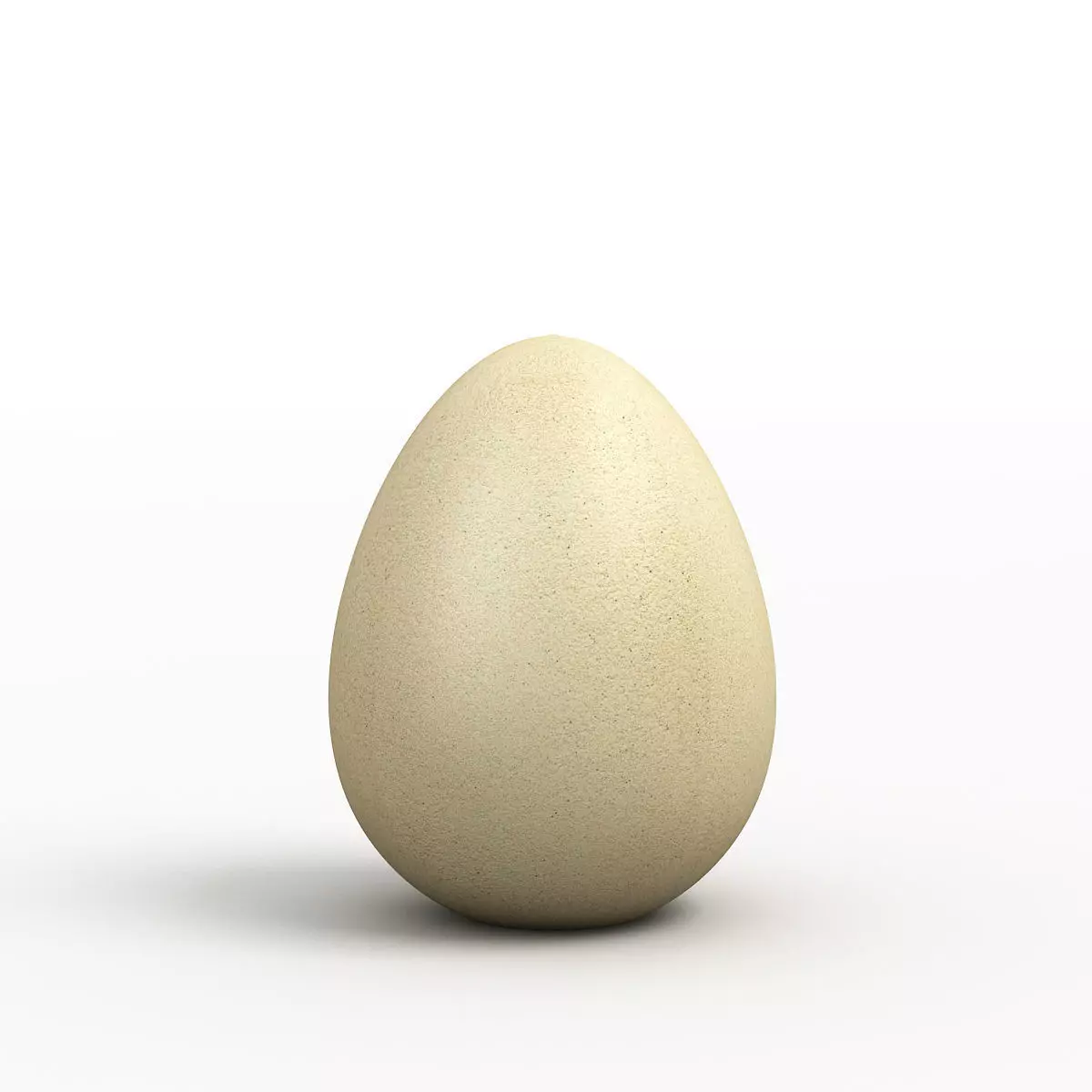 Egg 3D Model 3D model