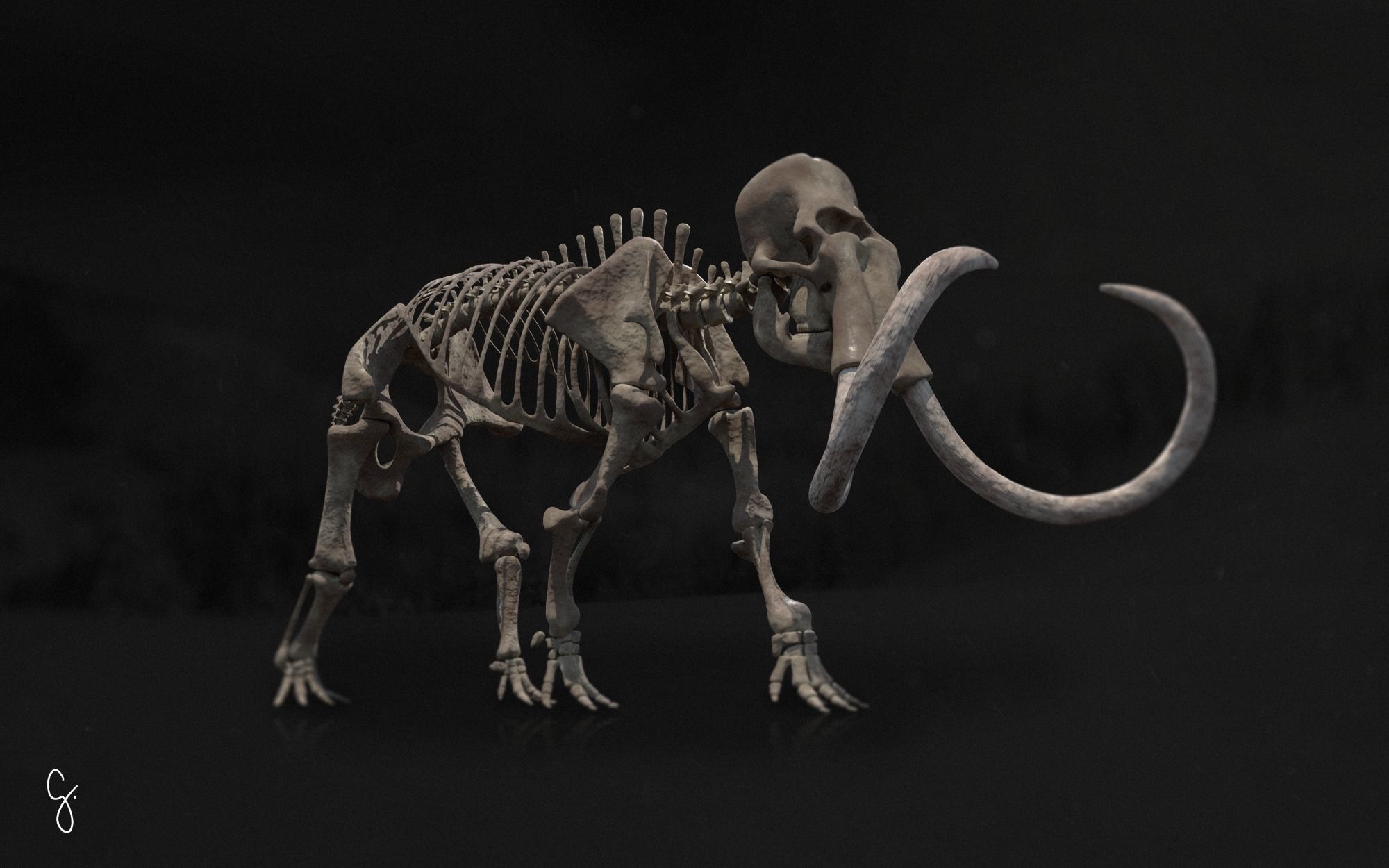 Woolly Mammoth - Mammuthus primigenius Anatomy Pack 3D model_20