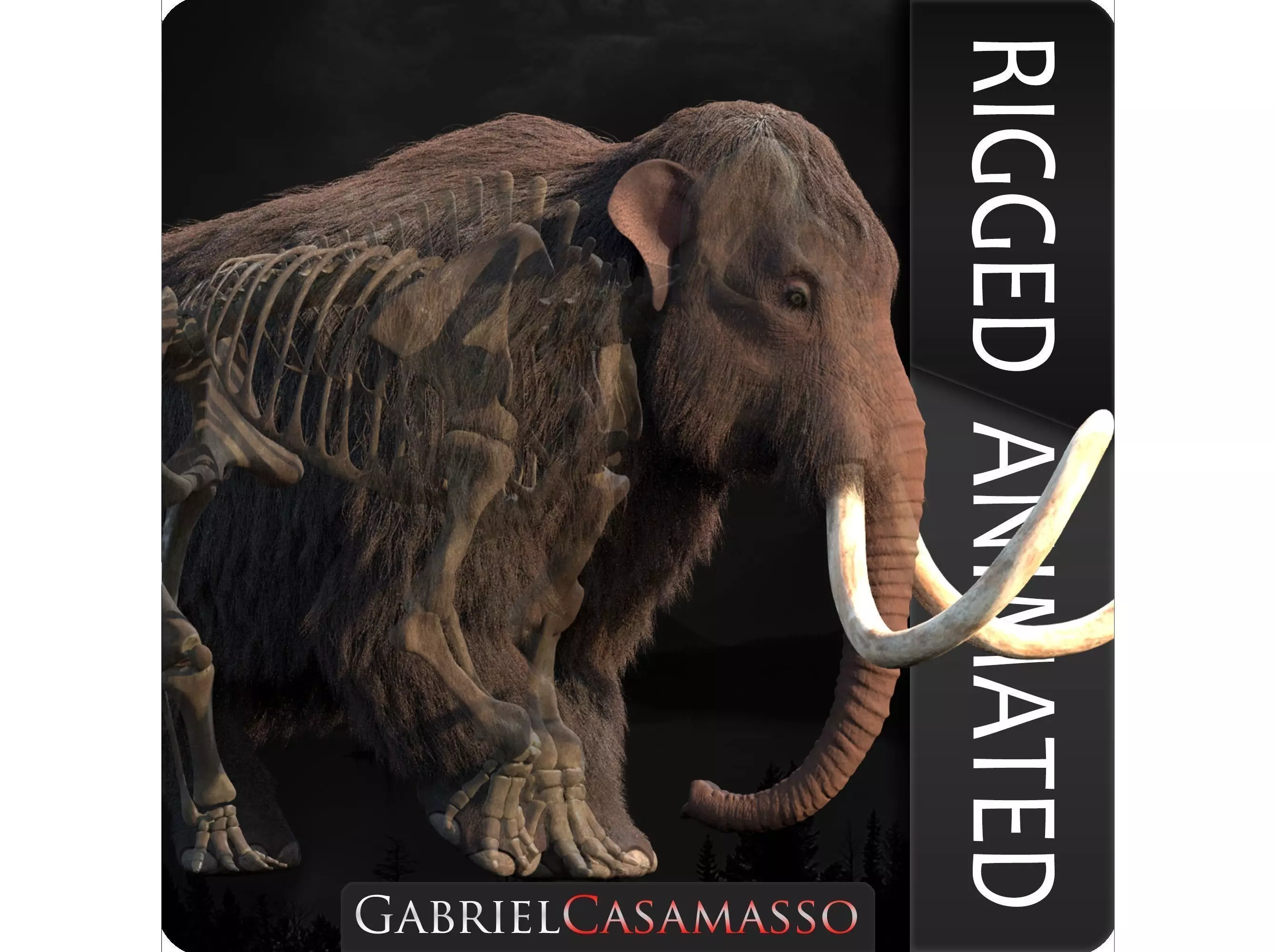 Woolly Mammoth - Mammuthus primigenius Anatomy Pack 3D model_0