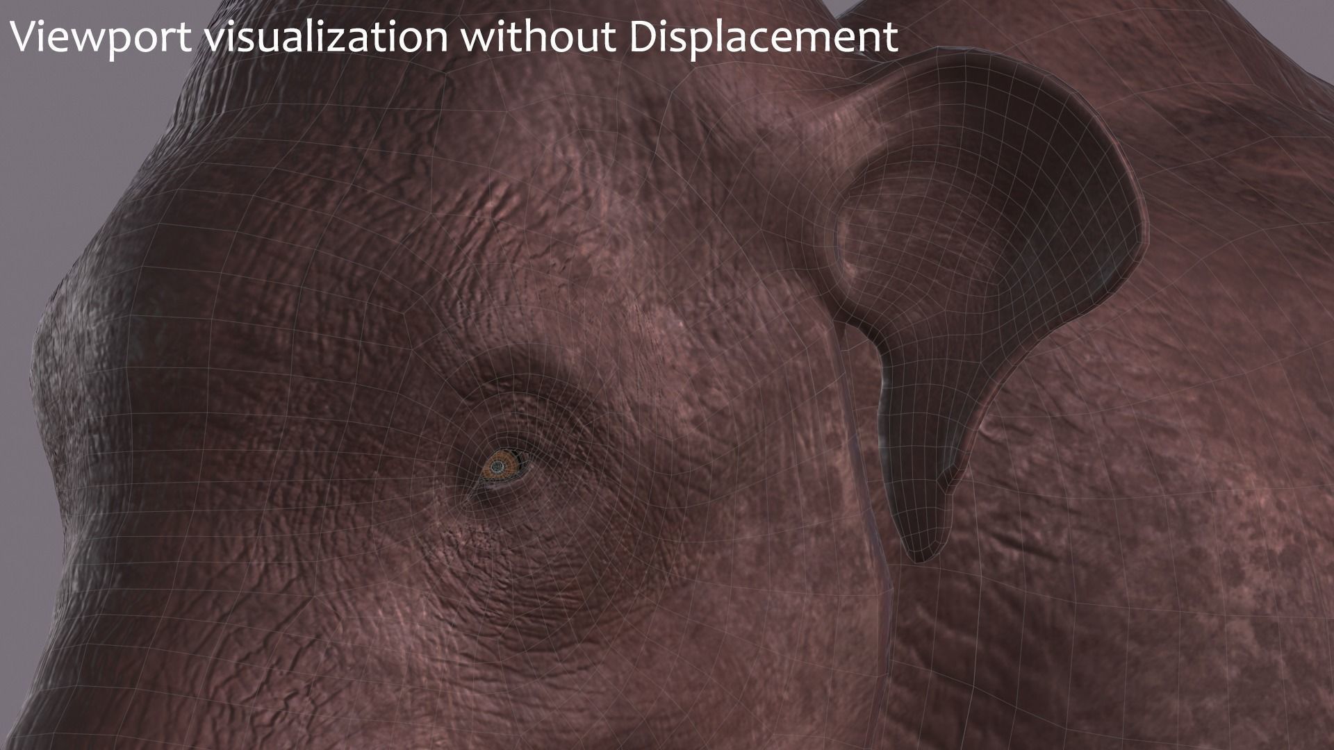 Woolly Mammoth - Mammuthus primigenius Anatomy Pack 3D model_12