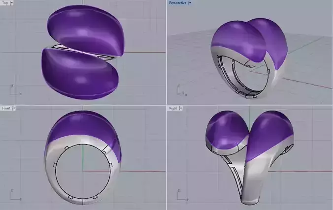 Ring with Purple Stones