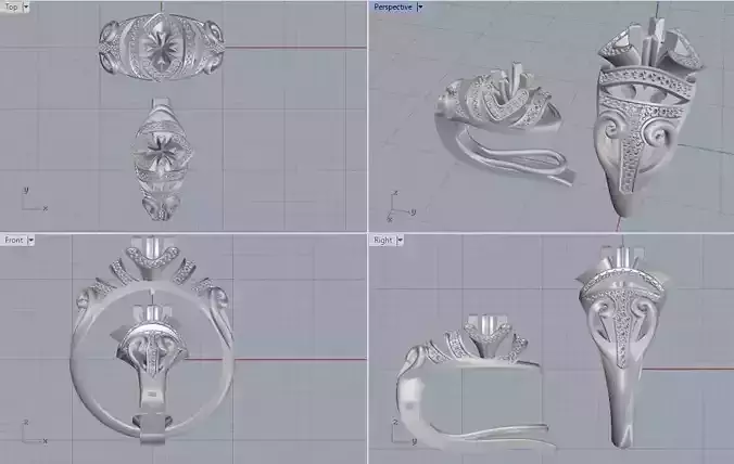 Ring and Earring Capricorn