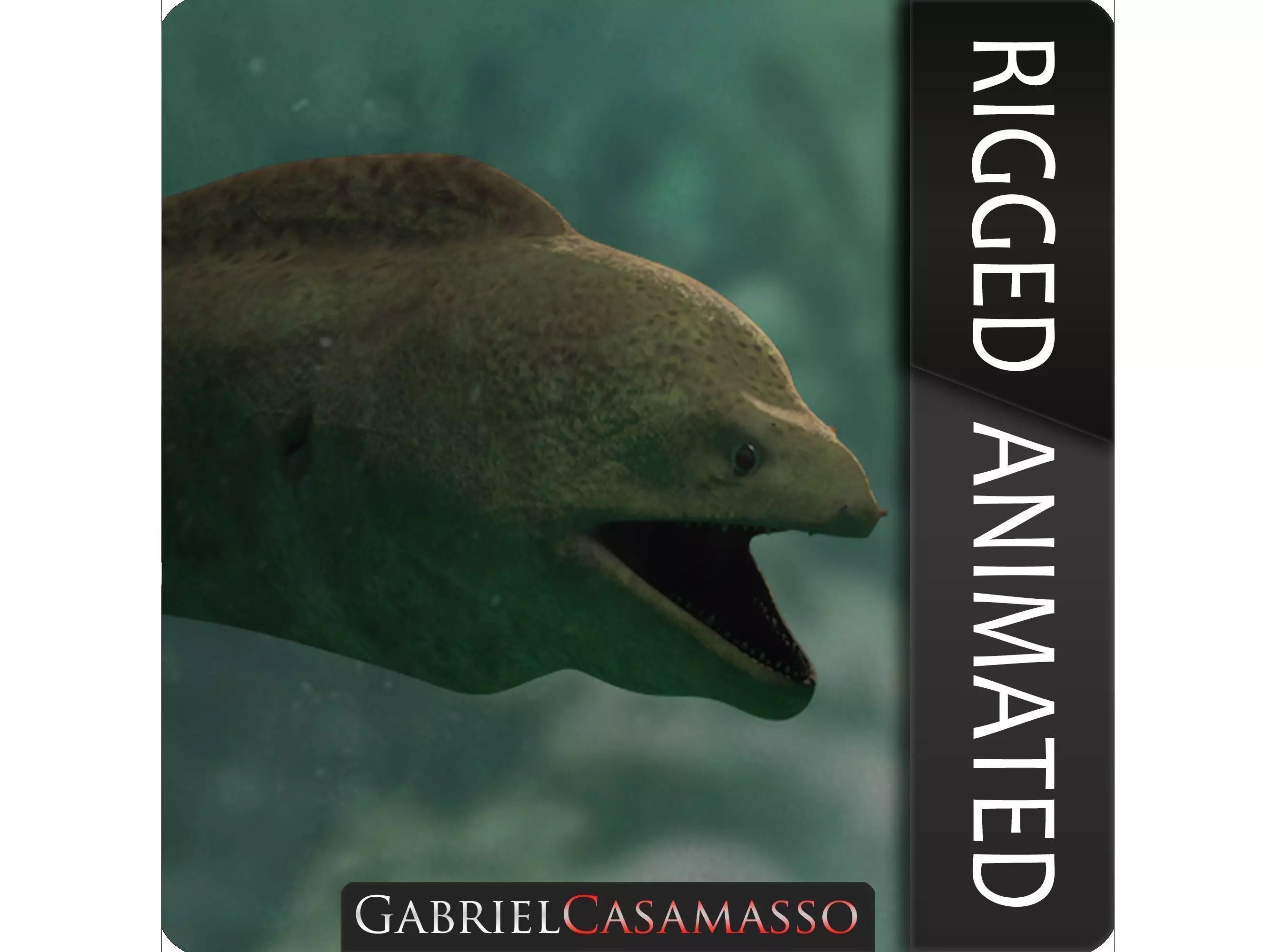 Giant Moray Eel - Gymnothorax javanicus Low-poly 3D model