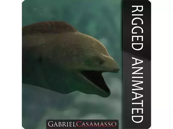 Giant Moray Eel - Gymnothorax javanicus Low-poly 3D model