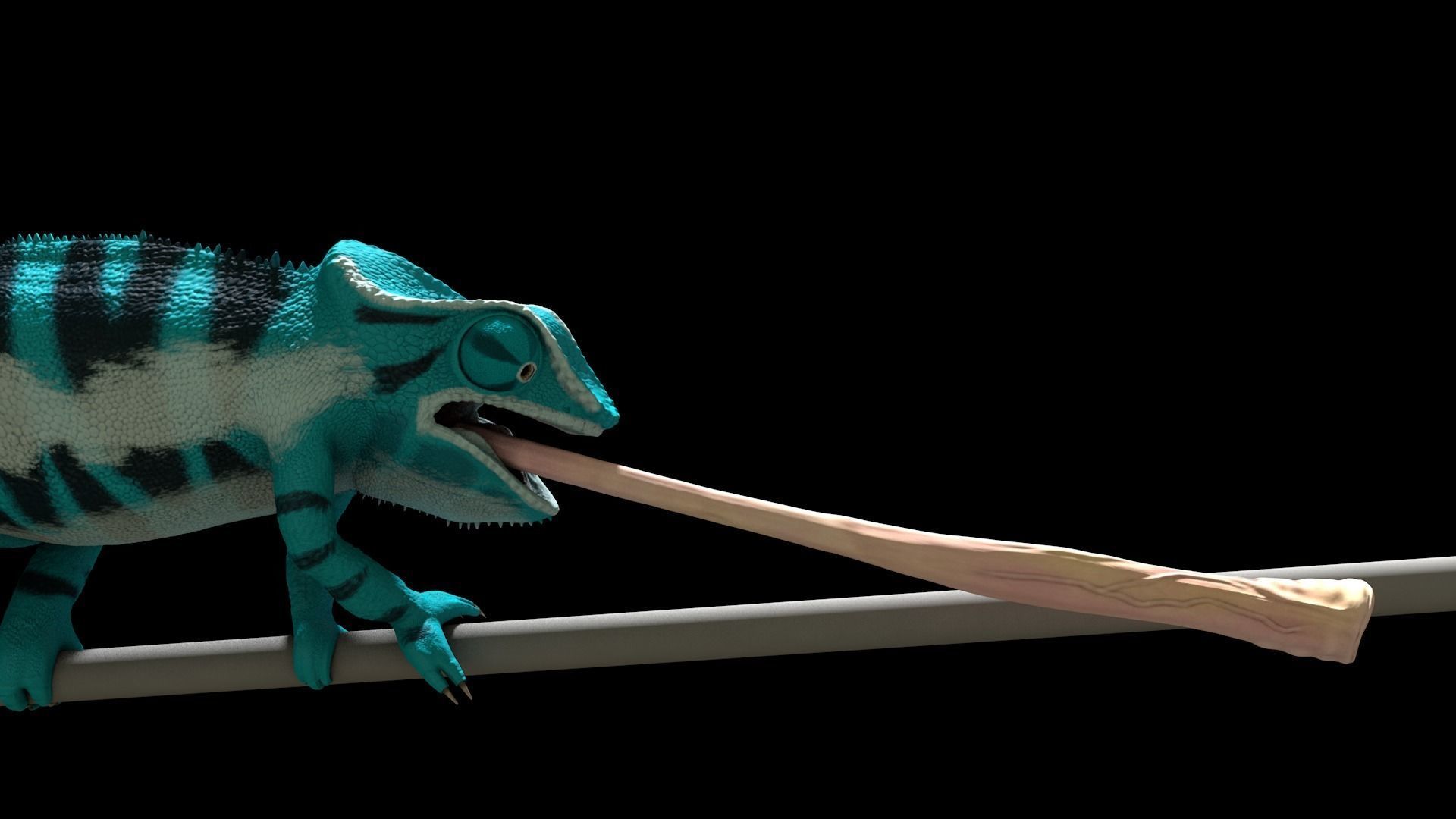 Panther Chameleon - Furcifer Pardalis 3D model_5