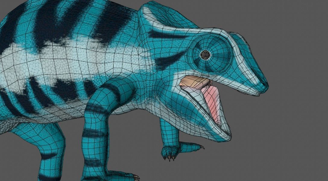 Panther Chameleon - Furcifer Pardalis 3D model_9