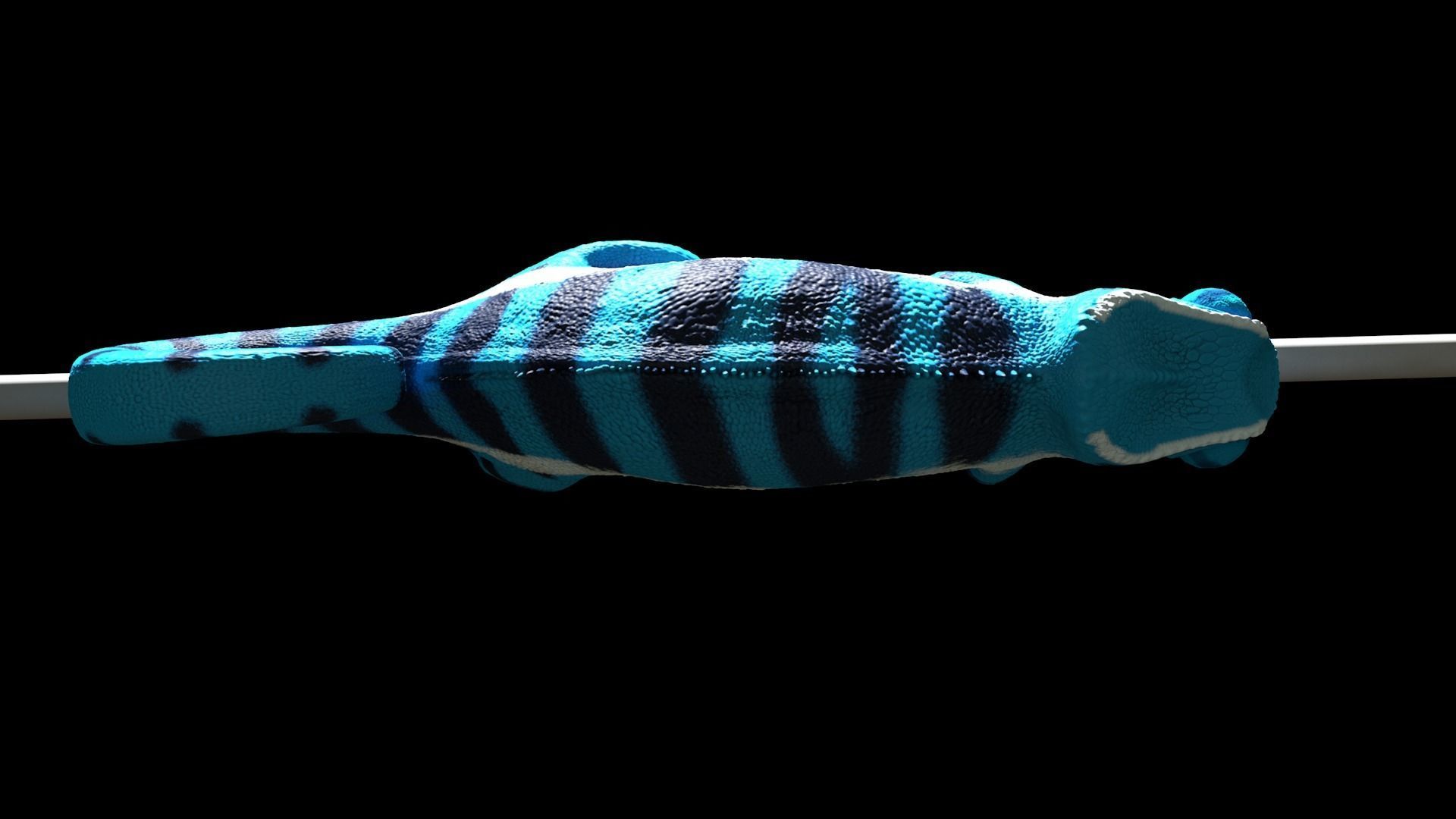 Panther Chameleon - Furcifer Pardalis 3D model_2