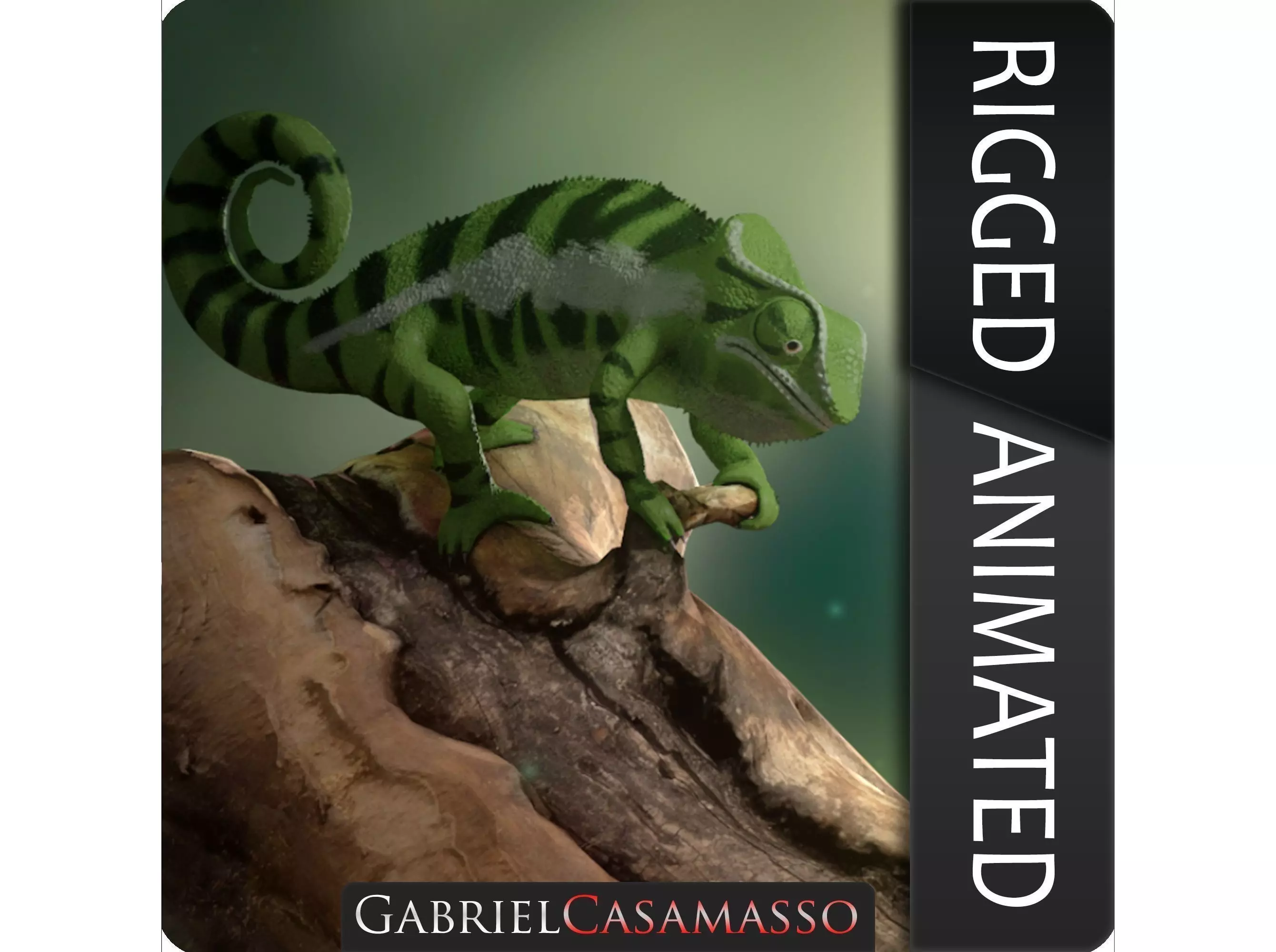 Panther Chameleon - Furcifer Pardalis 3D model_0