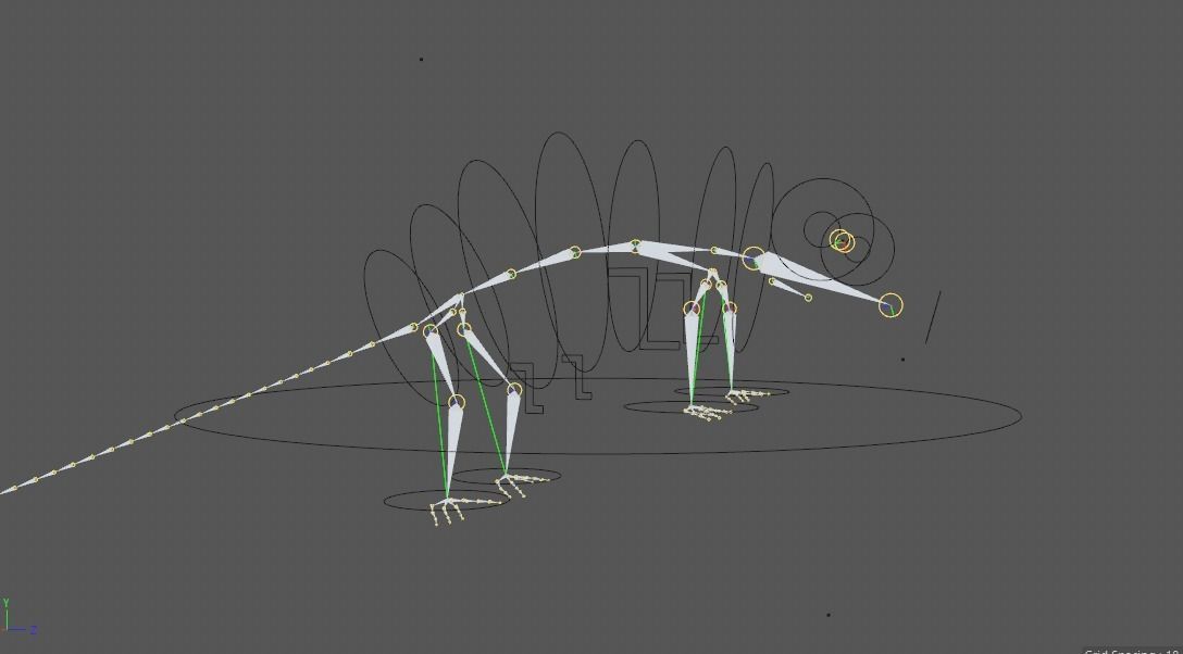 Panther Chameleon - Furcifer Pardalis 3D model_12