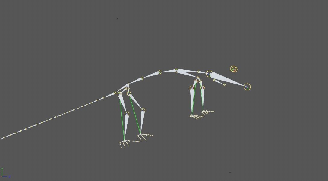 Panther Chameleon - Furcifer Pardalis 3D model_13