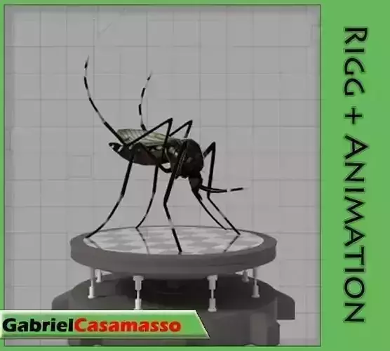 Aedes Aegypti Low-poly 3D model
