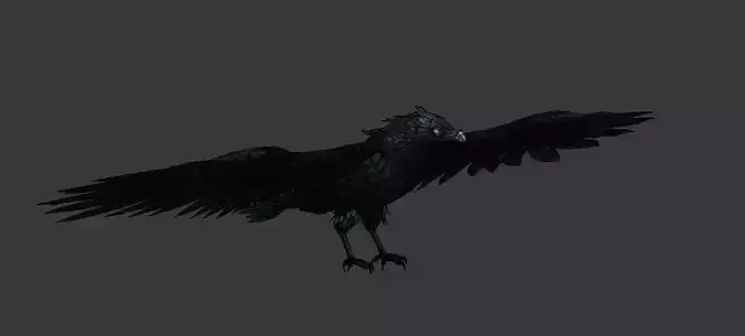 crow  bird Low-poly 3D model