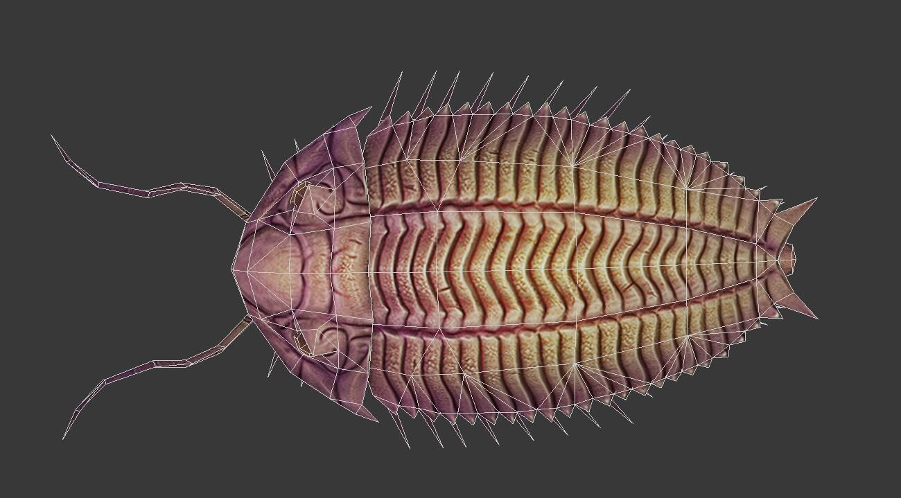 Trilobites insect Low-poly 3D model_2