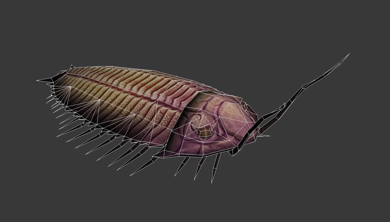 Trilobites insect Low-poly 3D model_1