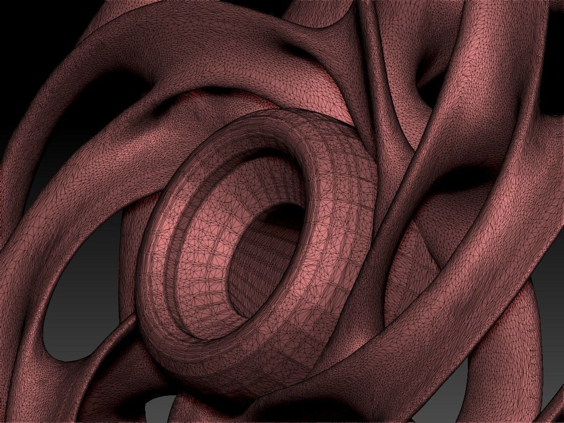Torus pendant 3D print model_5