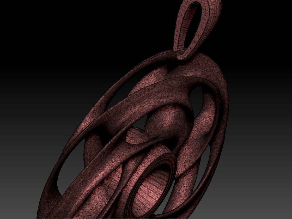 Torus pendant 3D print model_6