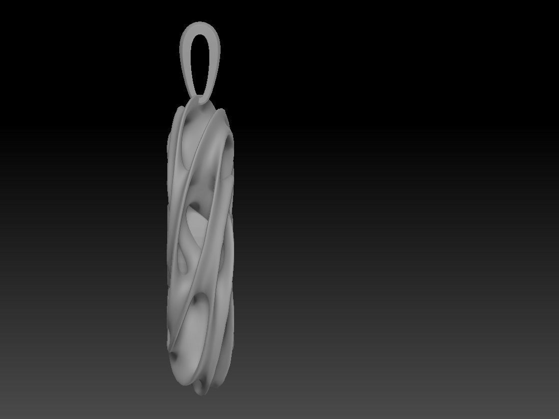 Torus pendant 3D print model_4