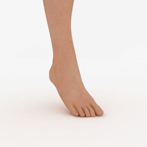 Female Foot 3D model