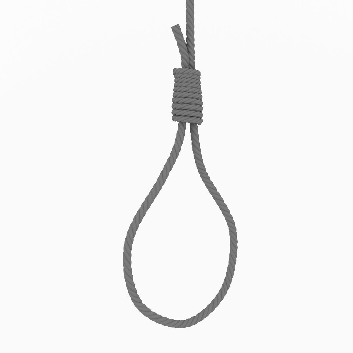 Gibbet Noose 3D model_3