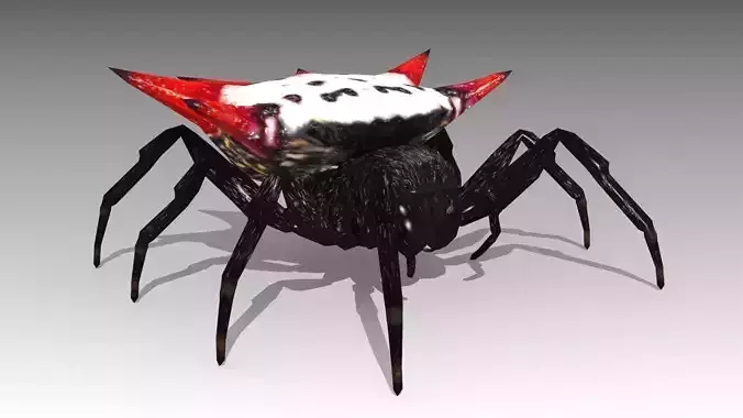 Spinybacked Spider Low-poly 3D model