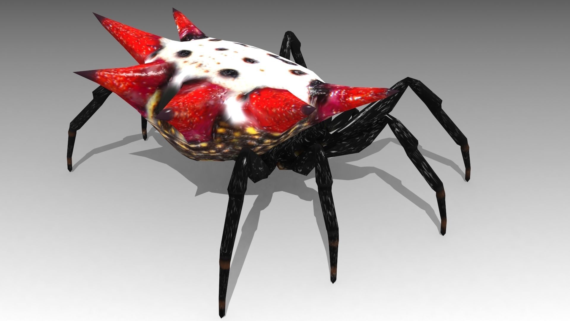 Spinybacked Spider Low-poly 3D model_3