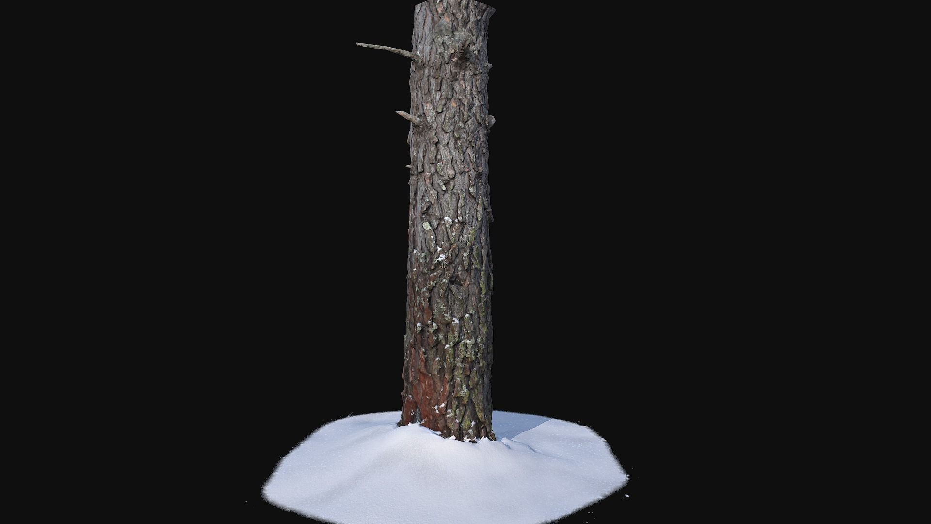 Pine trunk with snow 2 Low-poly 3D model_4