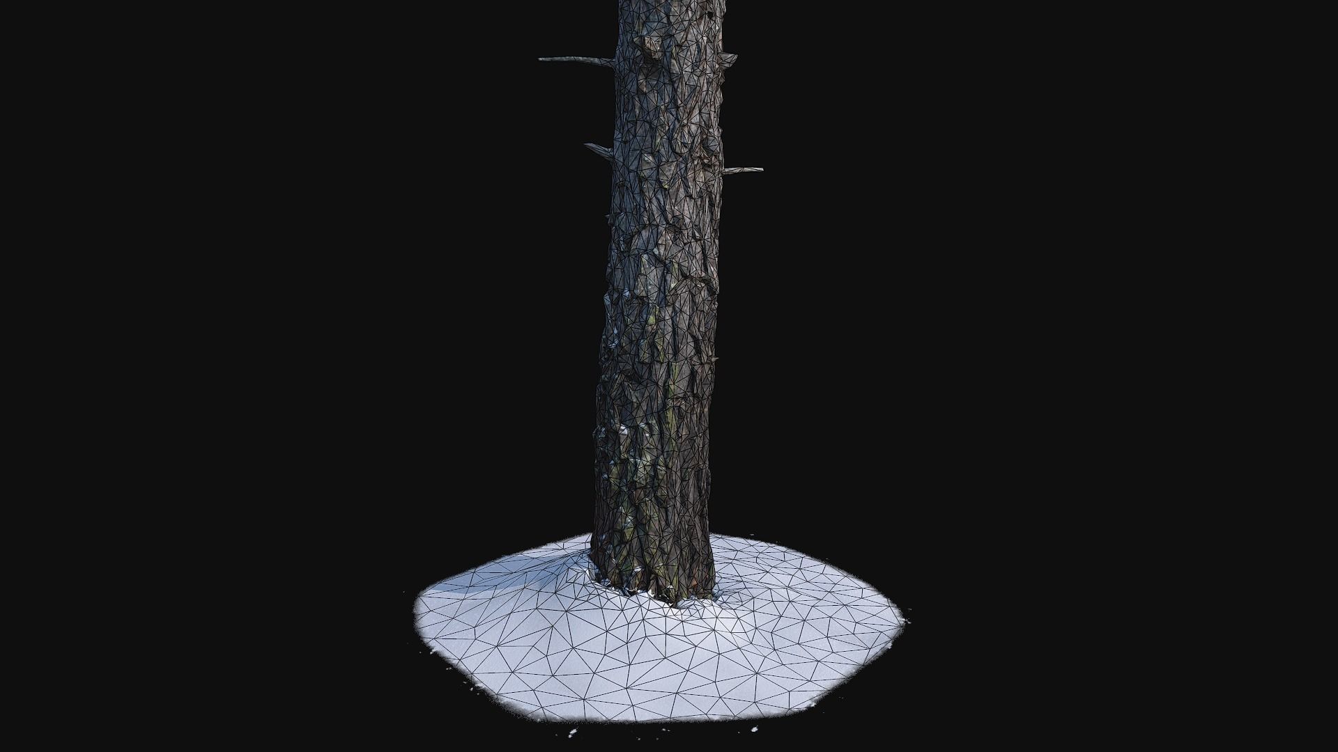 Pine trunk with snow 2 Low-poly 3D model_2