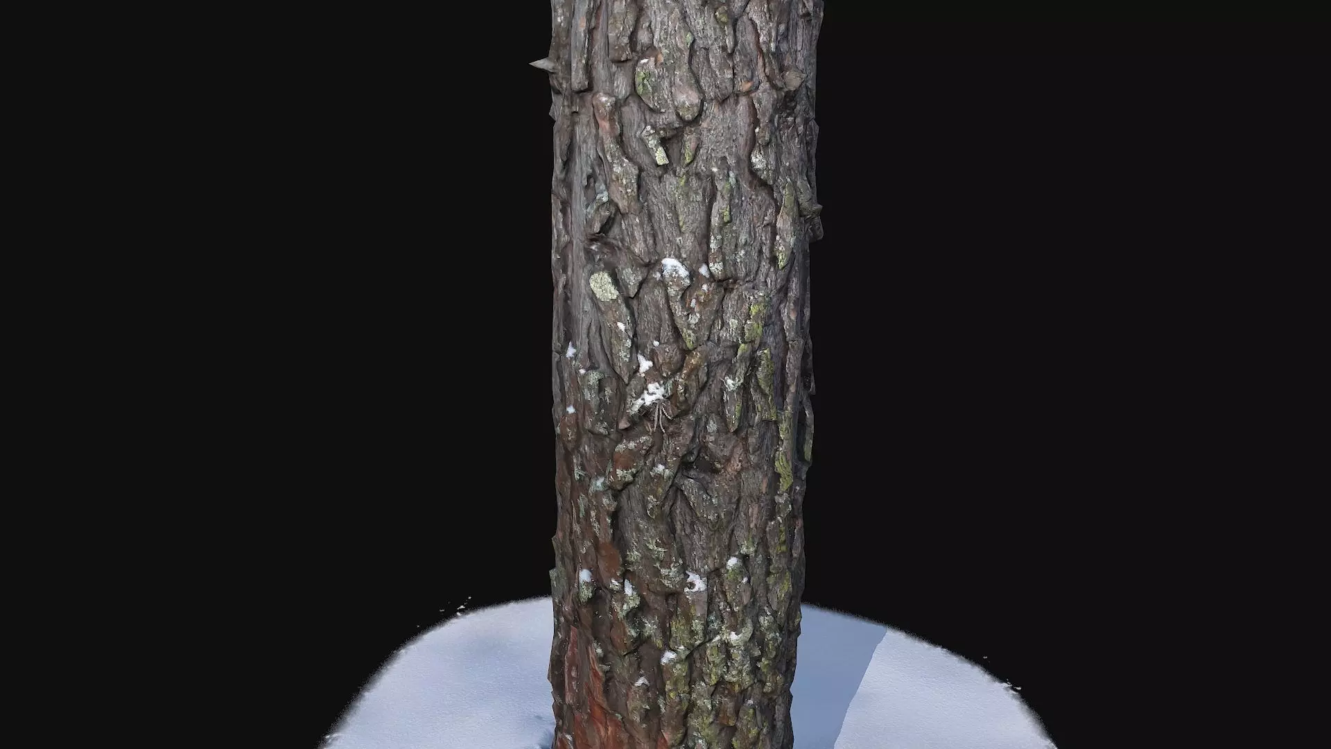 Pine trunk with snow 2 Low-poly 3D model_0