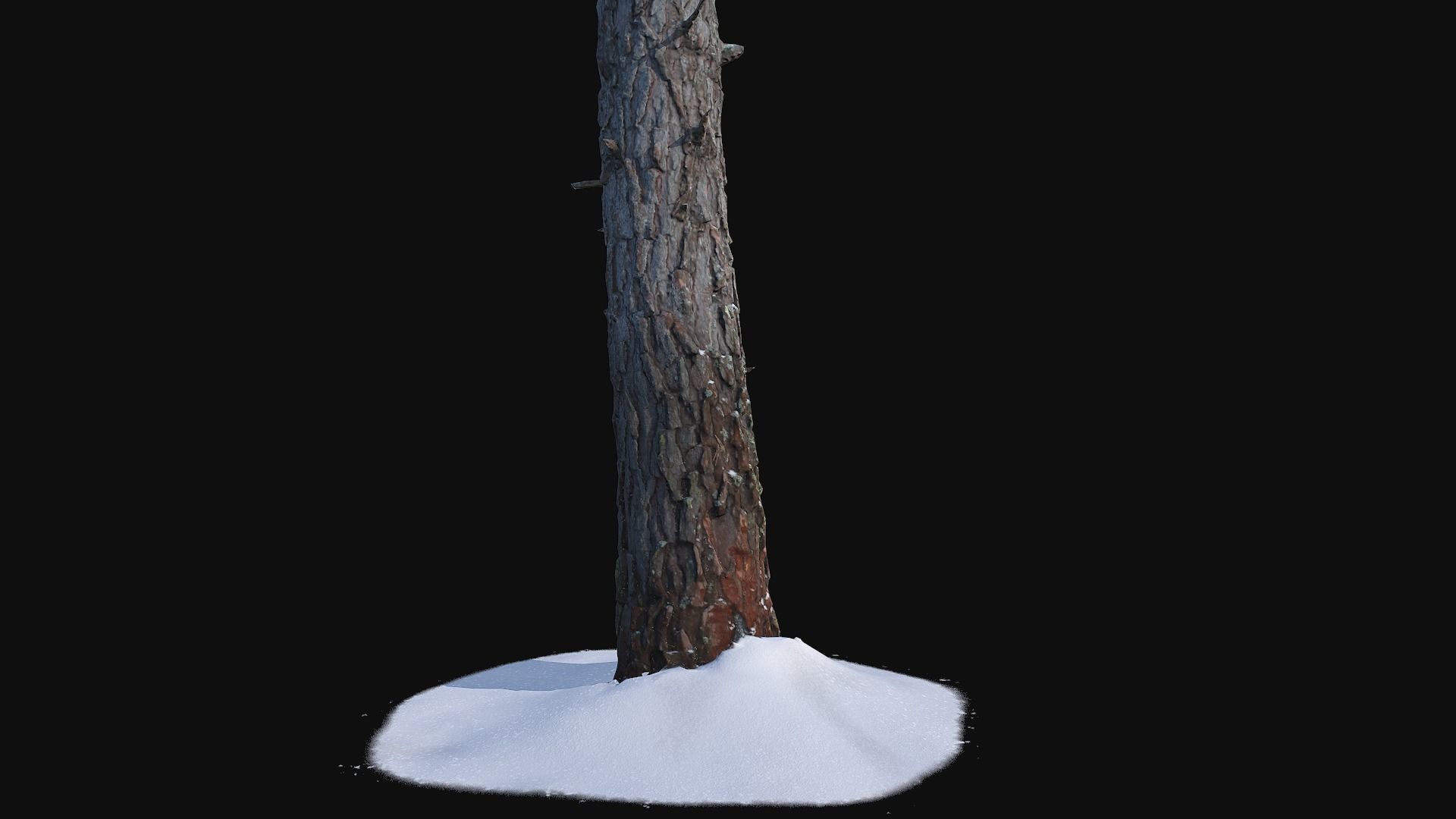 Pine trunk with snow 2 Low-poly 3D model_5