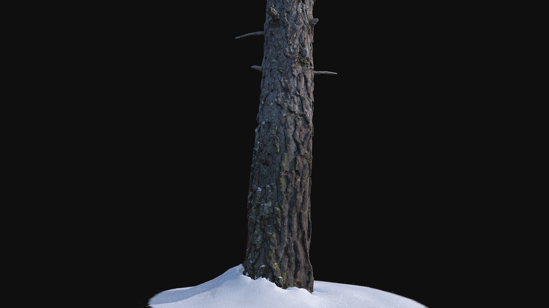 Pine trunk with snow 2 Low-poly 3D model_3