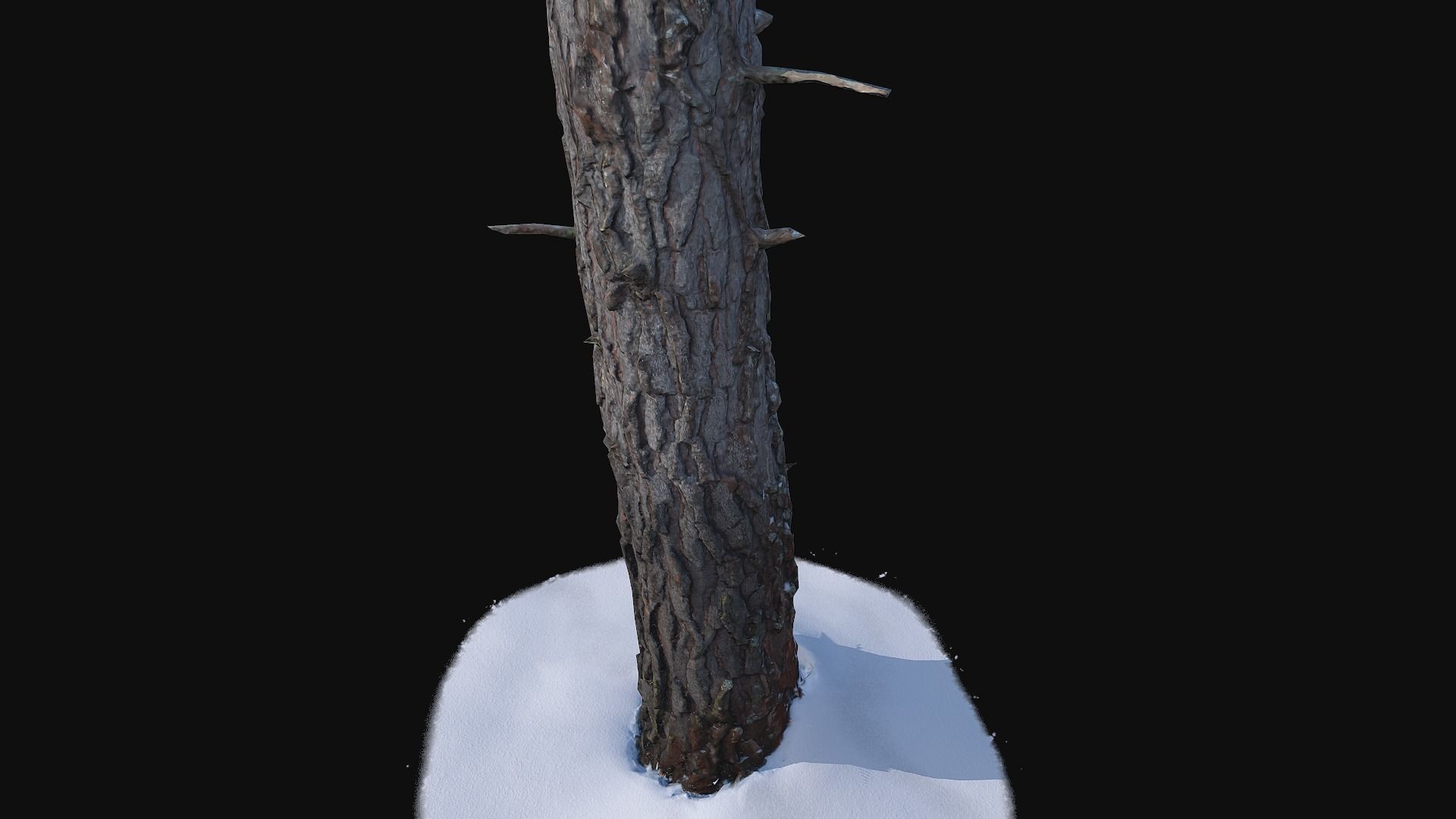 Pine trunk with snow 2 Low-poly 3D model_1