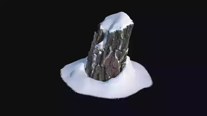Stump with snow 3