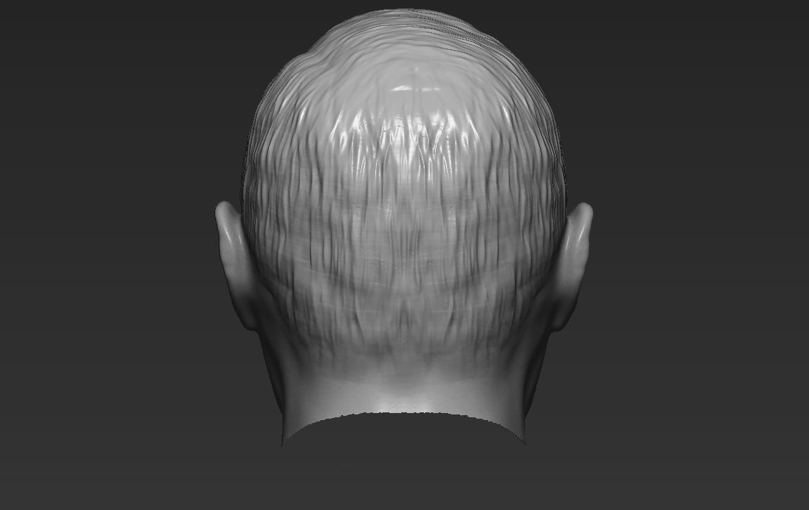 Vladimir Putin standard version only mesh 3D model_9