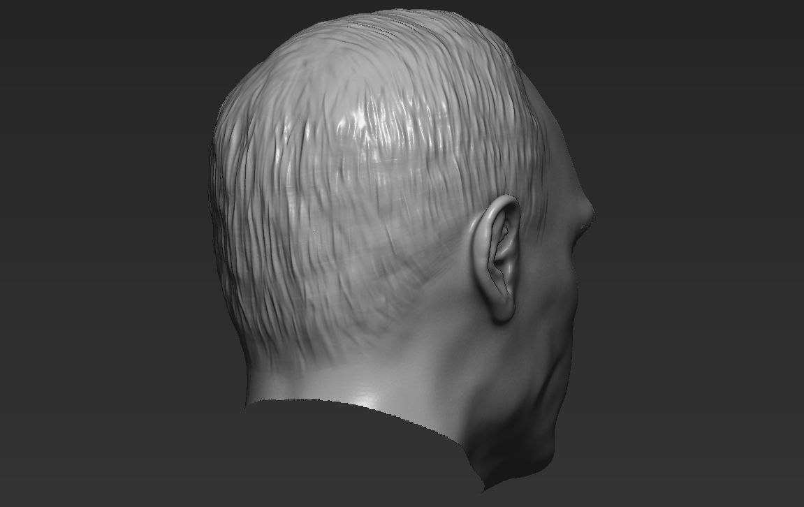 Vladimir Putin standard version only mesh 3D model_5