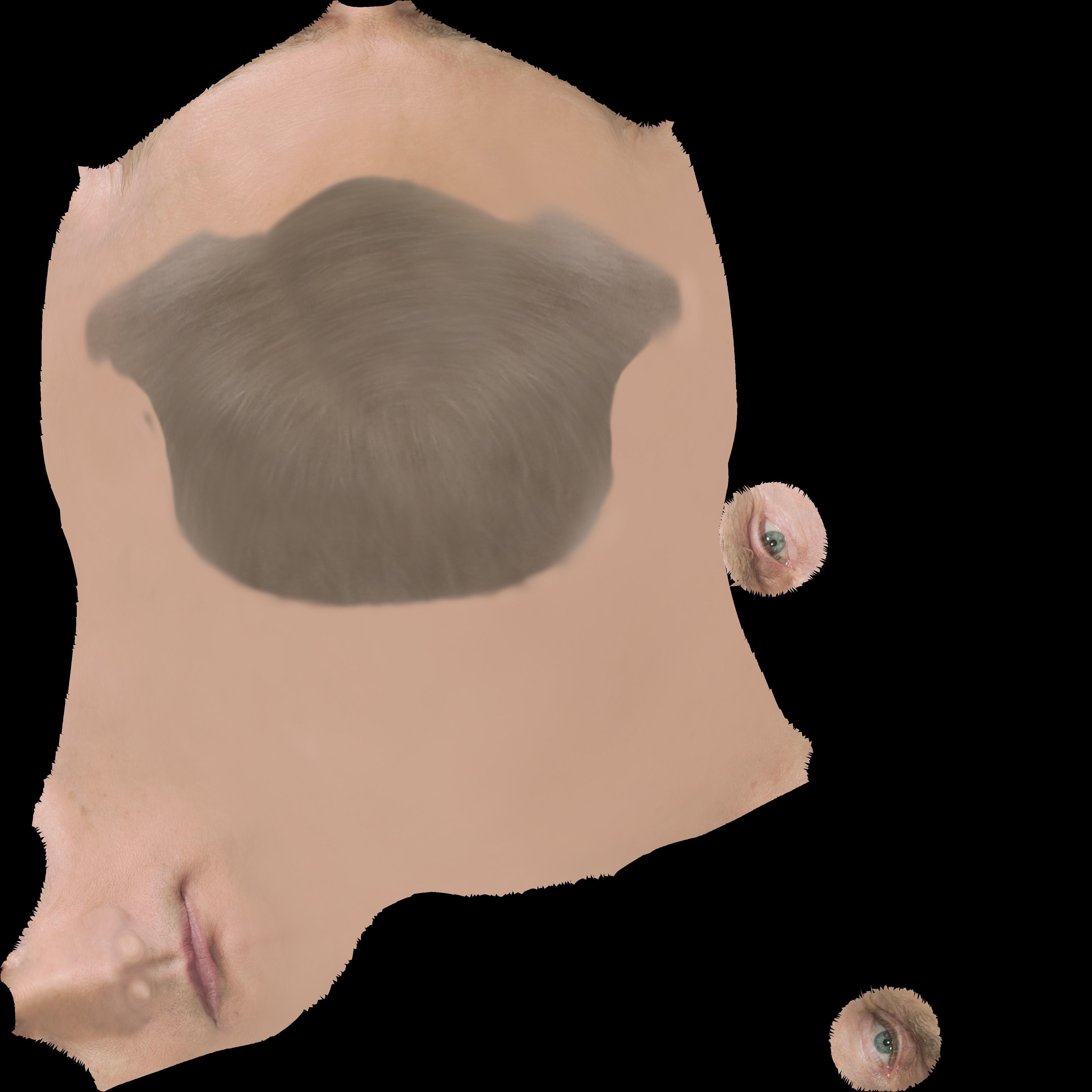 Vladimir Putin 3D model_32