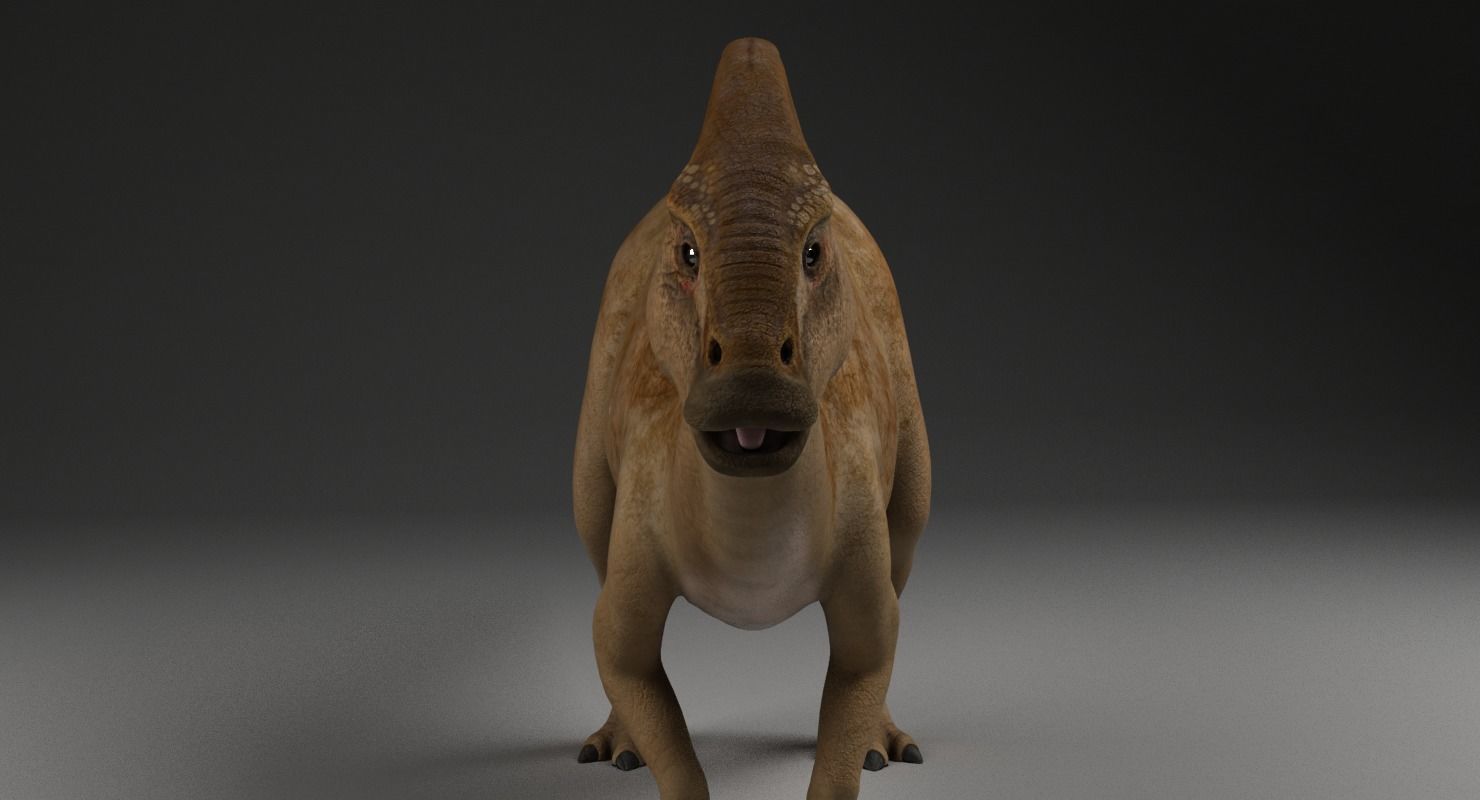Parasaurolophus - Static  3D model_2