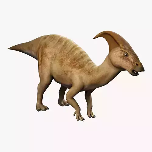 Parasaurolophus - Static  3D model