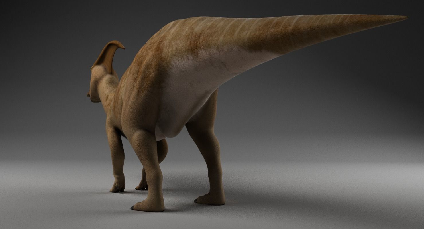 Parasaurolophus - Static  3D model_5