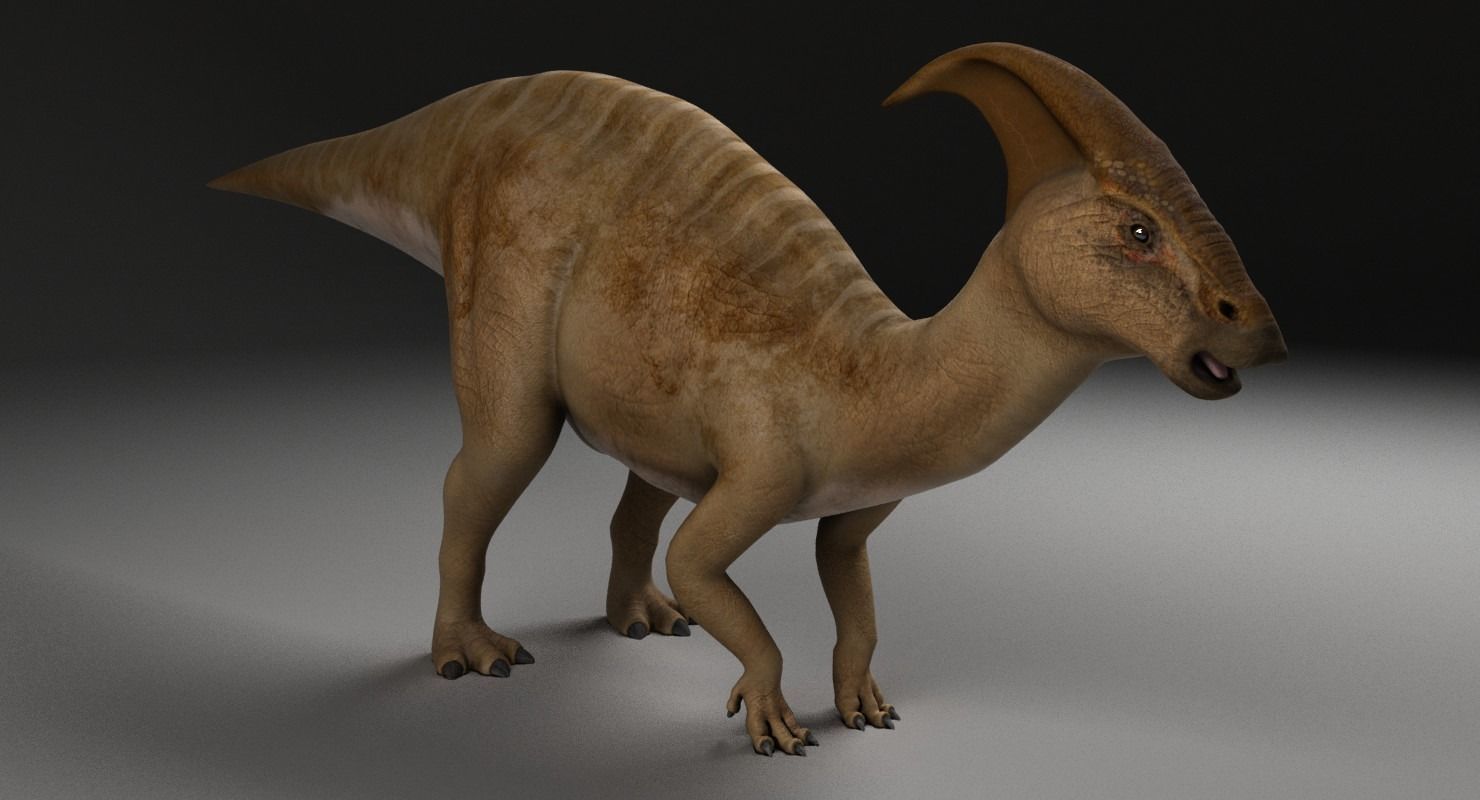 Parasaurolophus - Static  3D model_1