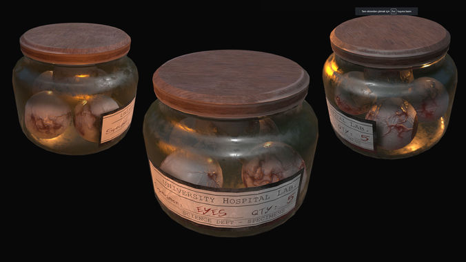 Specimen Jar Low-poly 3D model