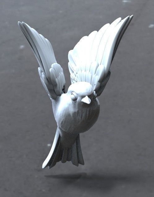 bird tit bullfinch 3D print model_1