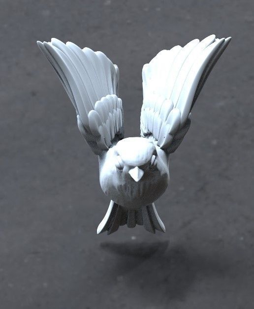 bird tit bullfinch 3D print model_2