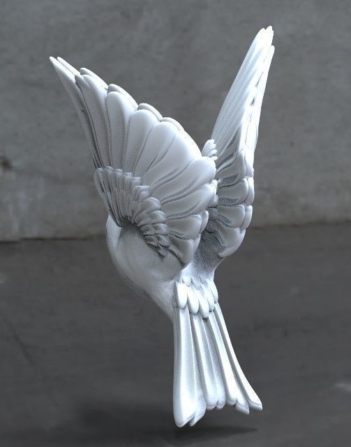 bird tit bullfinch 3D print model_5