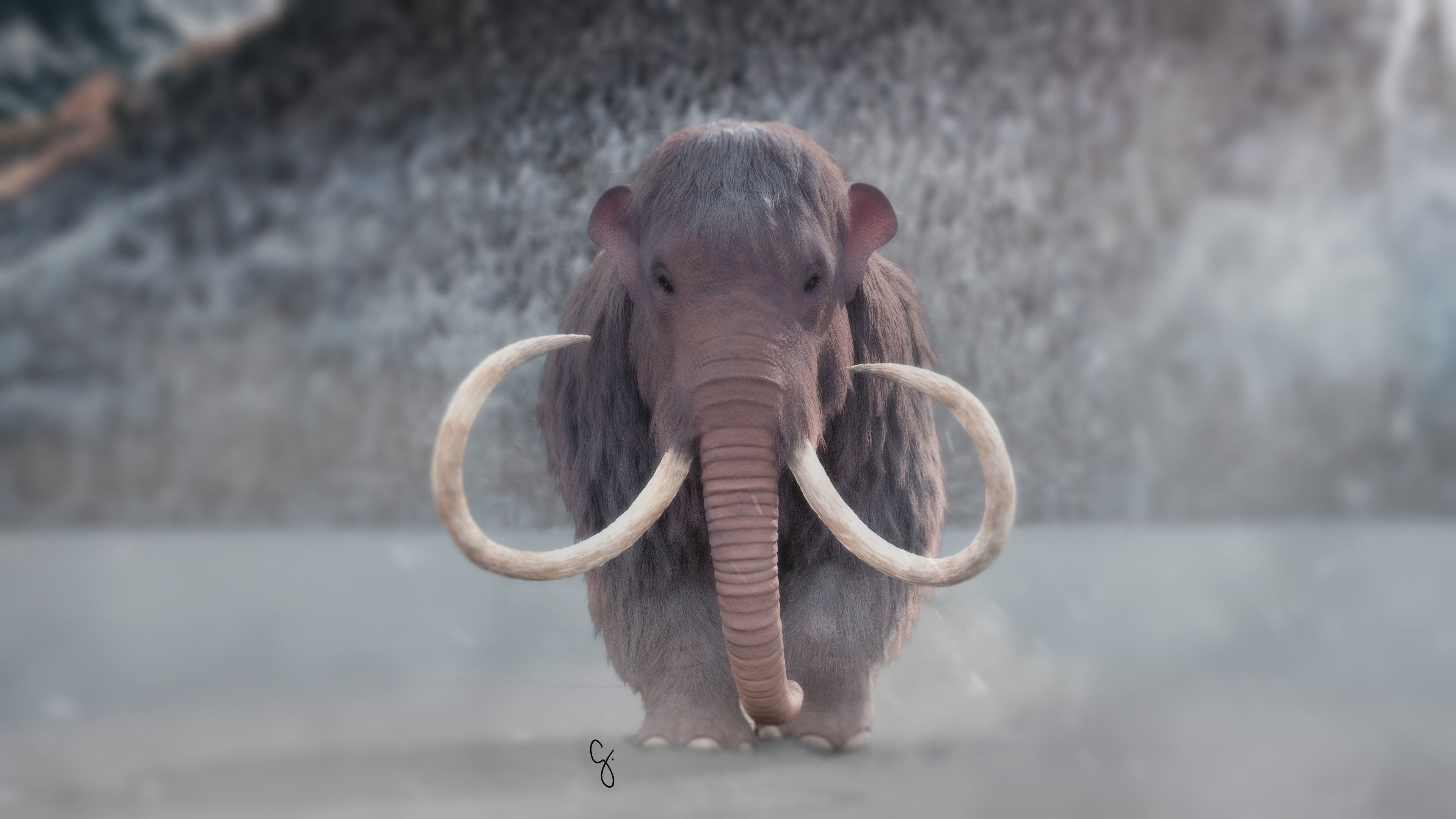 Woolly Mammoth - Mammuthus primigenius 3D model_11