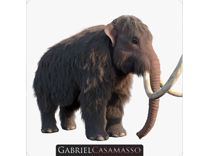 Woolly Mammoth - Mammuthus primigenius 3D model